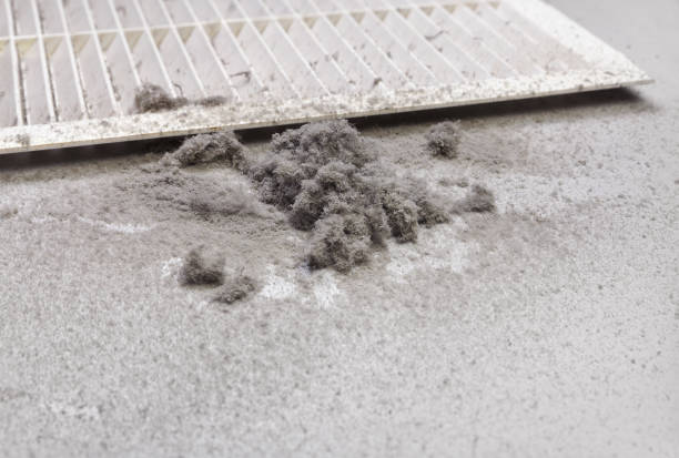 Best Affordable Duct Cleaning Services  in Warrior, AL