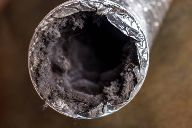Best Best Air Duct Cleaning Company  in Warrior, AL